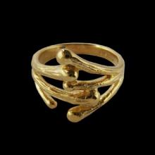 vzA442R (Gold Twig Ring)